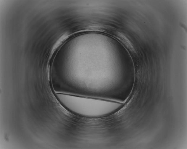 X0000097591180200802291212
