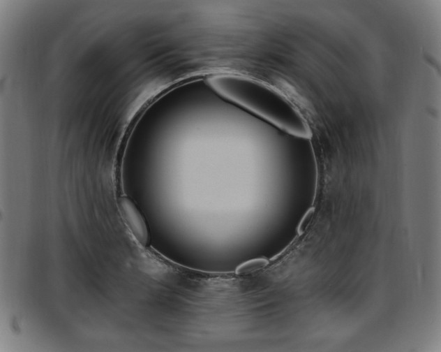 X0000097591181200802291212
