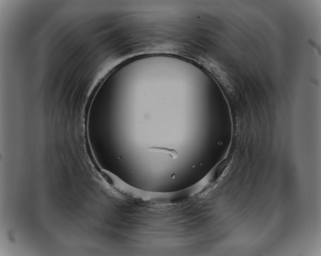 X0000097591184200802291212