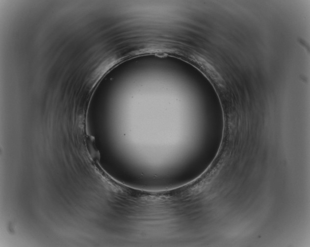 X0000097591185200802291212