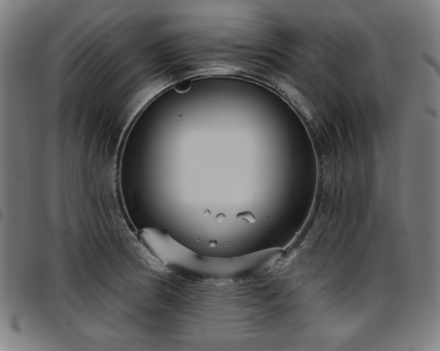 X0000097591186200802291212