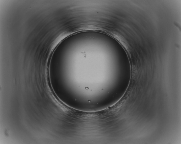 X0000097591187200802291212