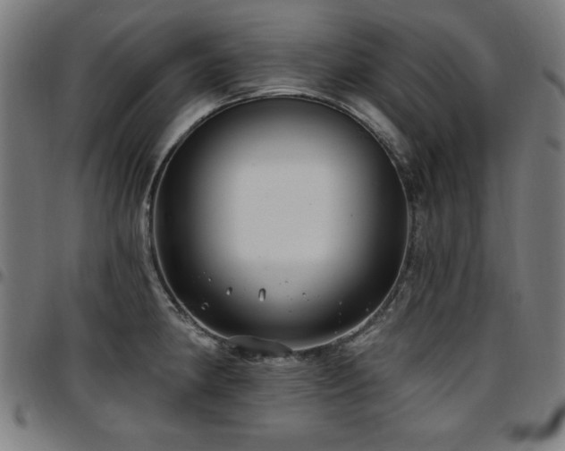 X0000097591190200802291212