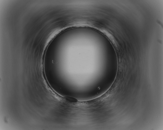 X0000097591191200802291212