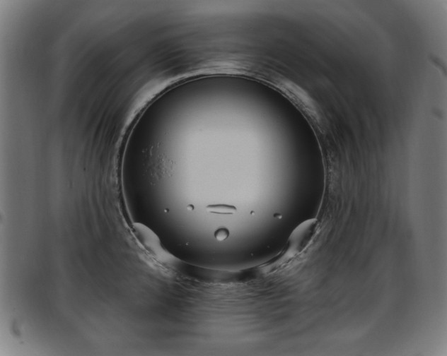 X0000097591192200802291212