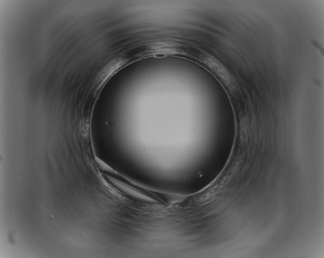 X0000097591193200802291211