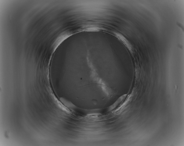 X0000097591194200802291211