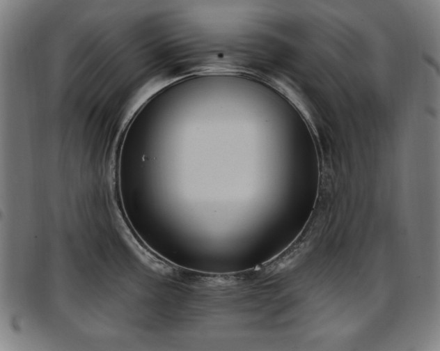 X0000097591195200802291211