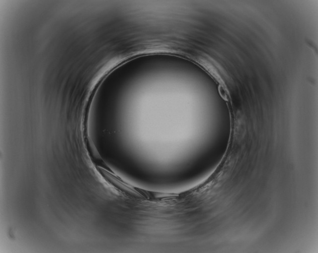 X0000097591197200802291211