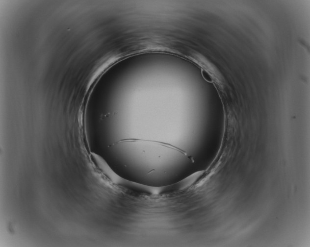 X0000097591198200802291211