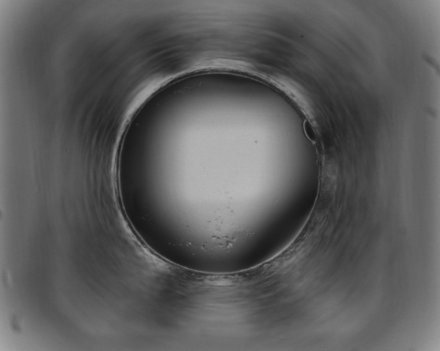X0000097591199200802291211