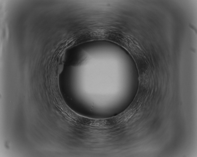 X0000097591201200802291210