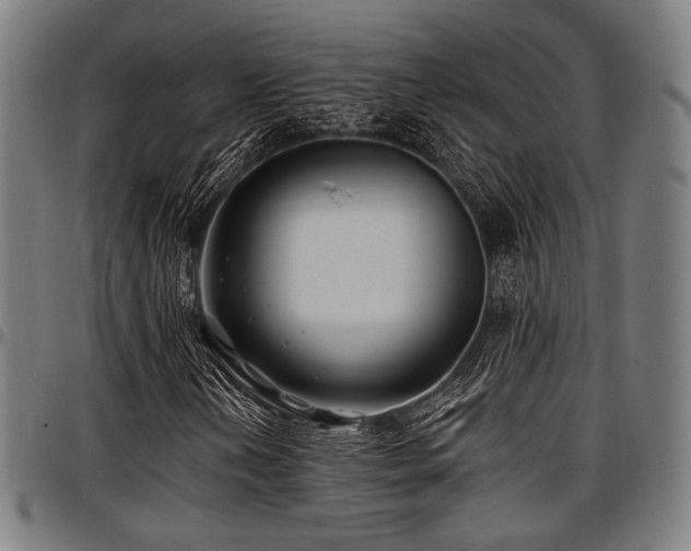 X0000097591202200802291211