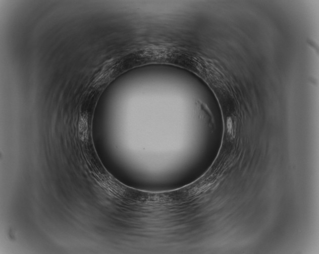 X0000097591203200802291211