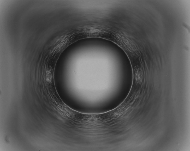 X0000097591204200802291211