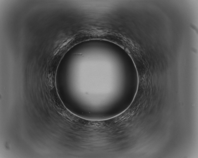 X0000097591205200802291211