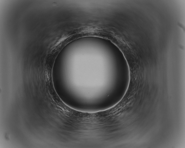 X0000097591206200802291211