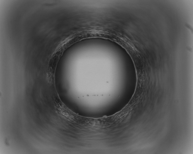 X0000097591207200802291211