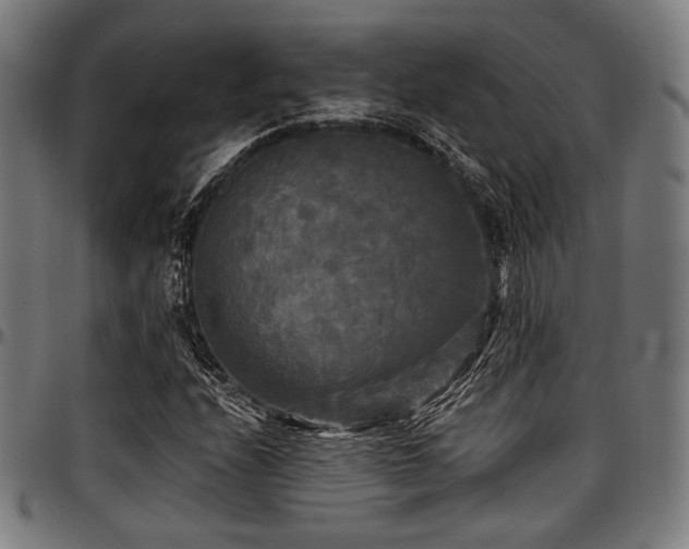 X0000097591208200802291211