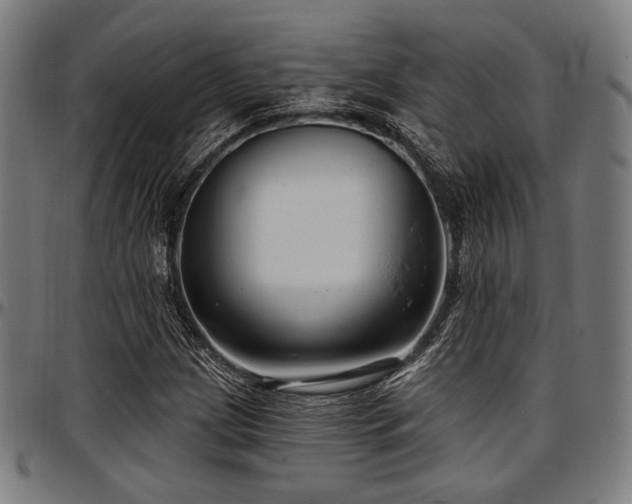 X0000097591209200802291211