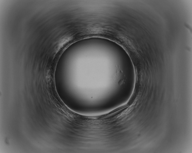 X0000097591210200802291211