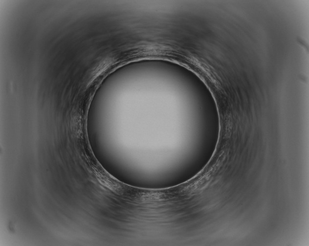 X0000097591211200802291211