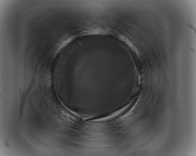 X0000097591213200802291211