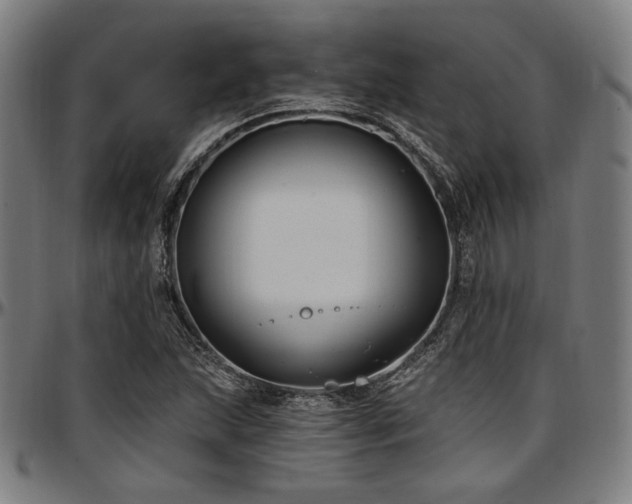 X0000097591215200802291211