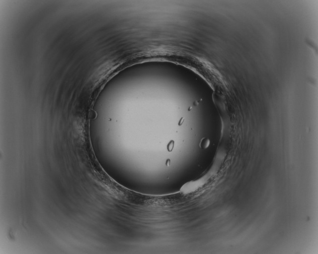 X0000097591217200802291211