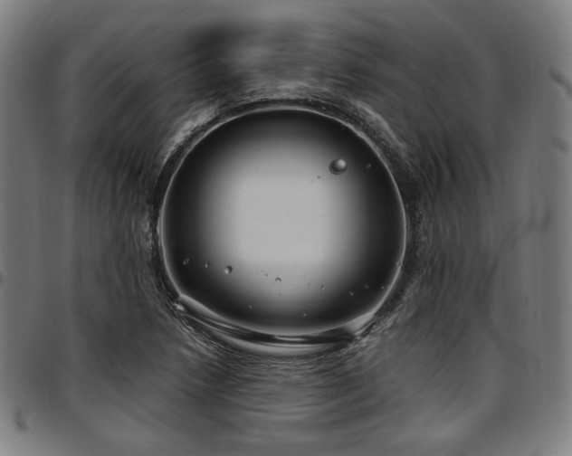 X0000097591218200802291211