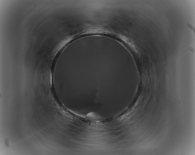 X0000097591221200802291211