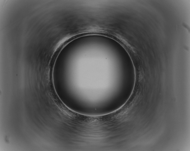 X0000097591222200802291211
