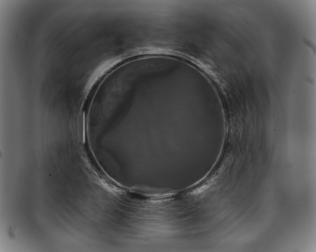 X0000097591223200802291211