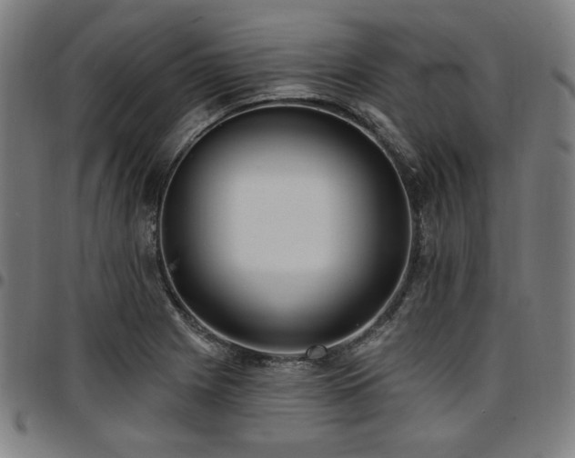 X0000097591225200802291211