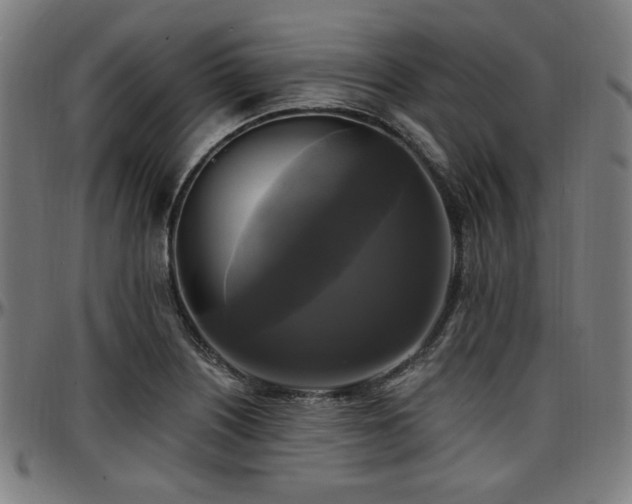 X0000097591226200802291211