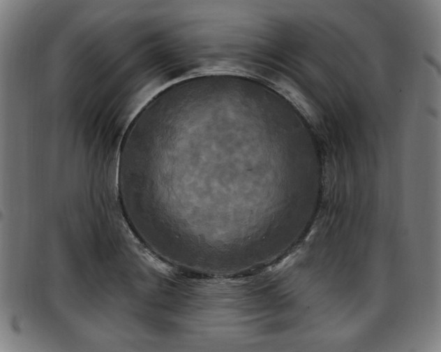 X0000097591228200802291211