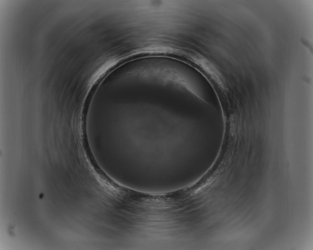 X0000097591229200802291211