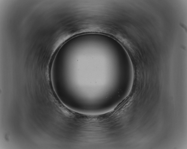 X0000097591230200802291211
