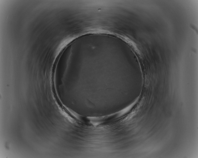 X0000097591231200802291211