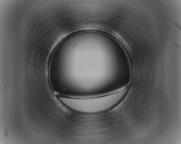 X0000097591232200802291211