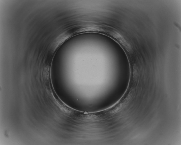 X0000097591233200802291211