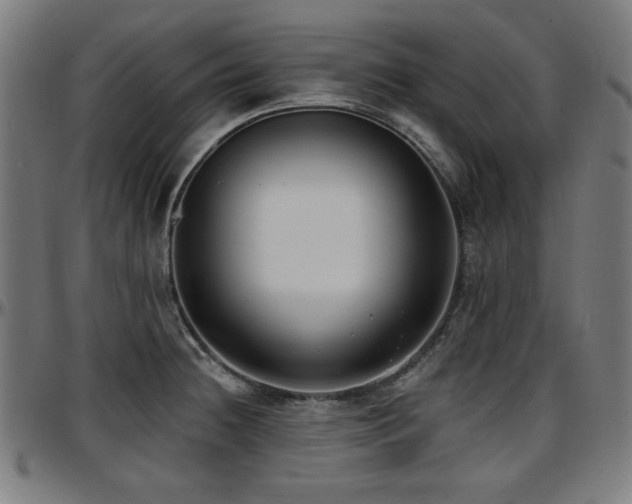 X0000097591236200802291211