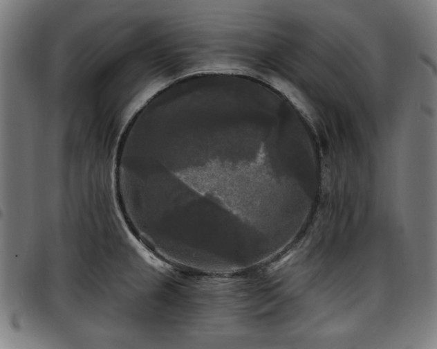 X0000097591237200802291211