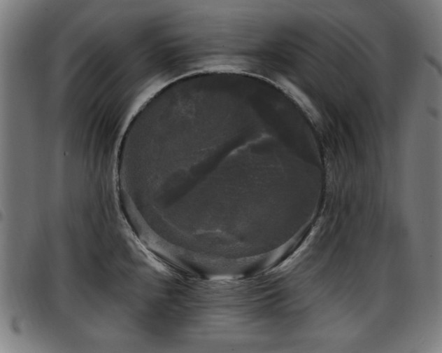 X0000097591240200802291211