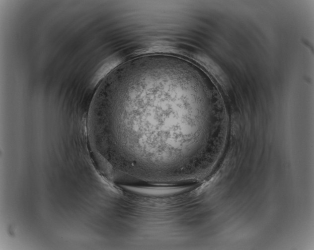 X0000097591241200802291211