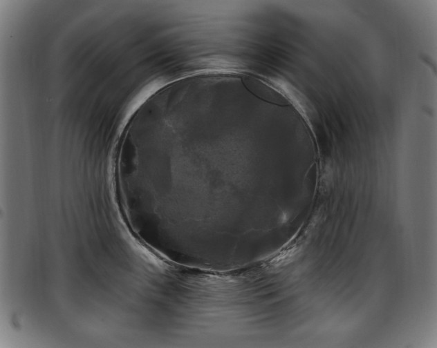 X0000097591243200802291211