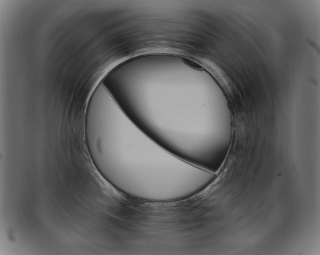 X0000097591244200802291211