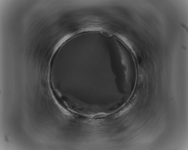 X0000097591245200802291211