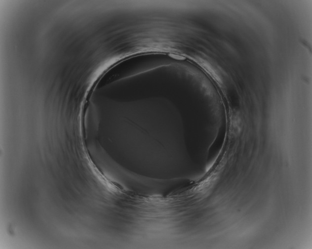 X0000097591246200802291211