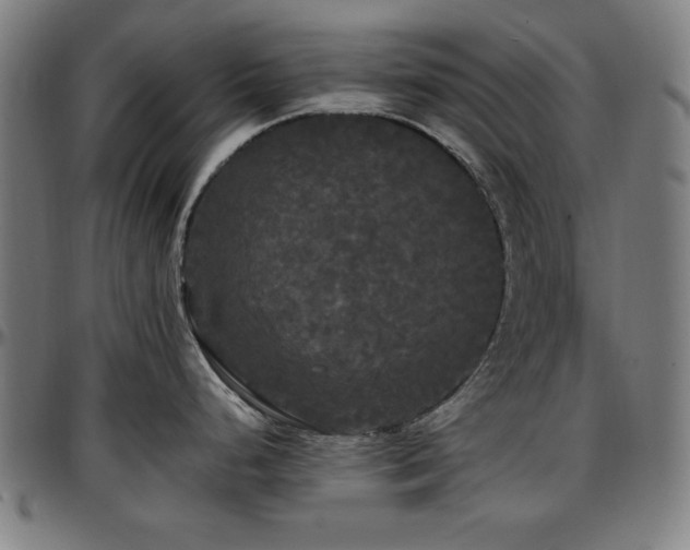 X0000097591248200802291211